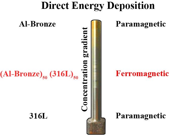 The magnetic properties of the metal rod continuously change from para- to ferromagnetic and back due to the shift in the relative proportions of the two constituent materials: marine-grade stainless steel (labeled 316L) and aluminum bronze (Al-Bronze). Credit: Oleg Dubinin et al./The Journal of Materials Processing Technology